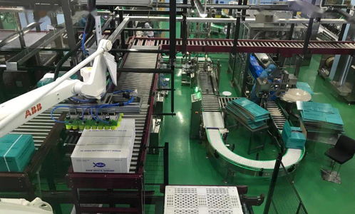 燈火通明到黑燈工廠 湛江5G智慧工廠形態(tài)初現(xiàn)，網(wǎng)絡(luò)技術(shù)引領(lǐng)智造新篇